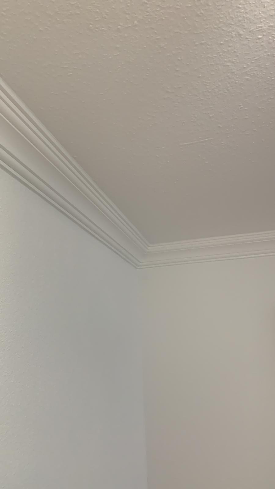 24 Meter Zierleiste Stuckprofile Styroporleisten Zierprofil  (115 x 115mm) K 2